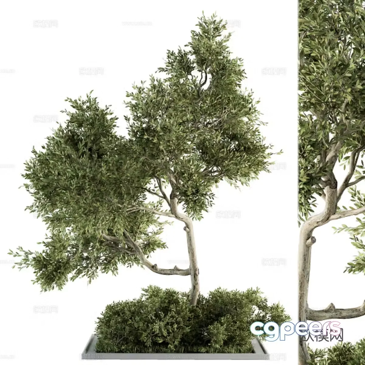 Landscape tree 3d model