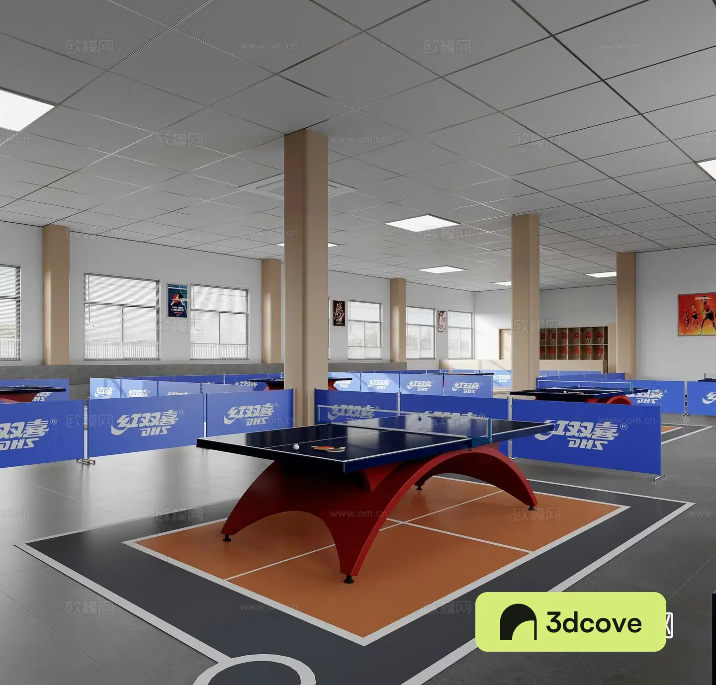 Modern table tennis room
