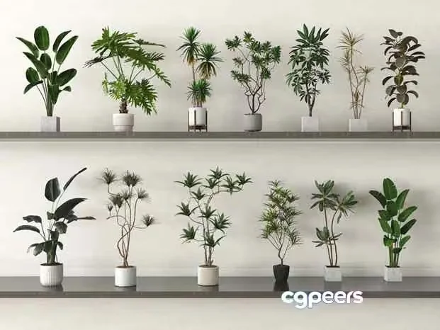 Modern Plant Shelf 3D Model – 17321 – VRAY Render