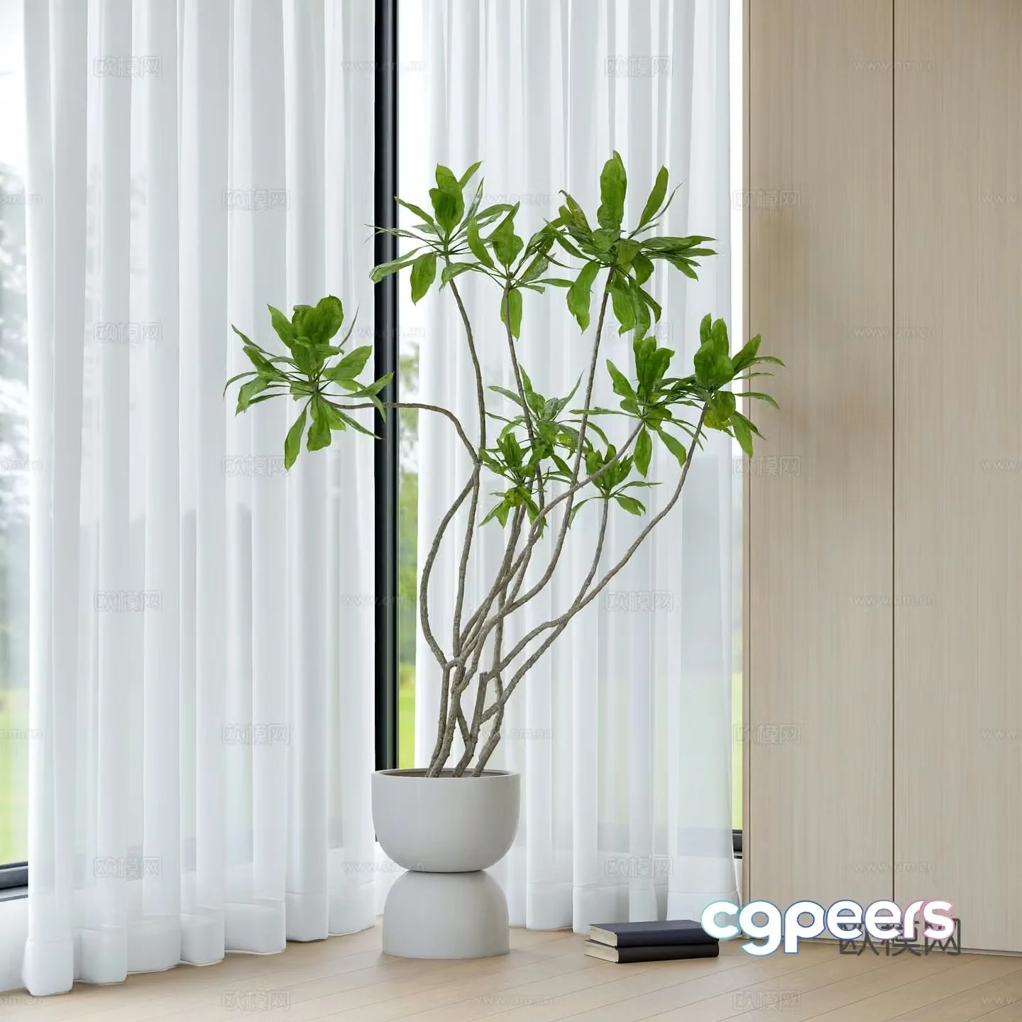 Modern green plant potted 3D model