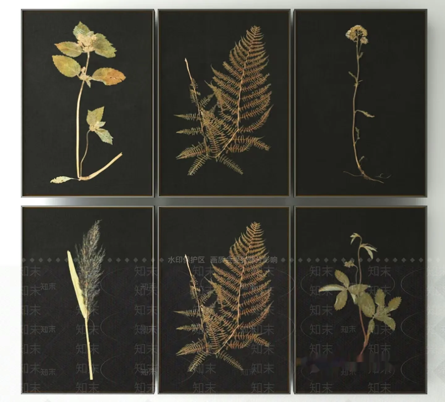Six Pieces Of Artwork Featuring Pressed Leaves 3D Model – 23059 – VRAY Render