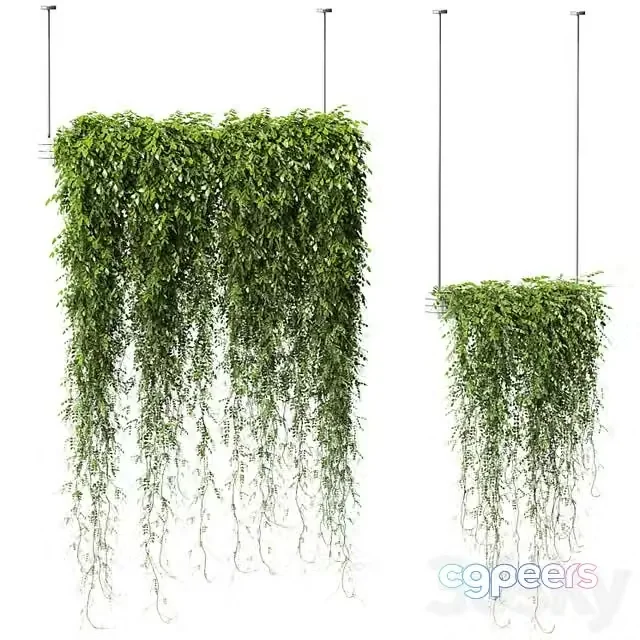 3ds Max Free – Plants in Hanging Planters v2. 2 models