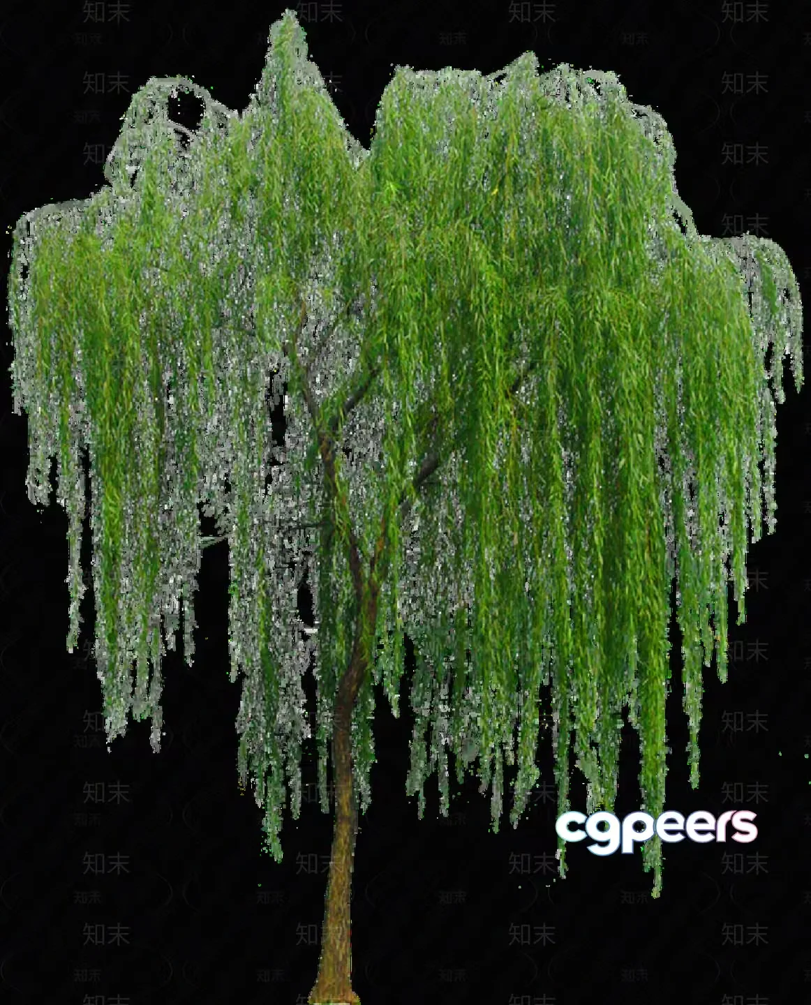 A Tree With Long Green Leaves 3D Model – 5637 – VRAY Render