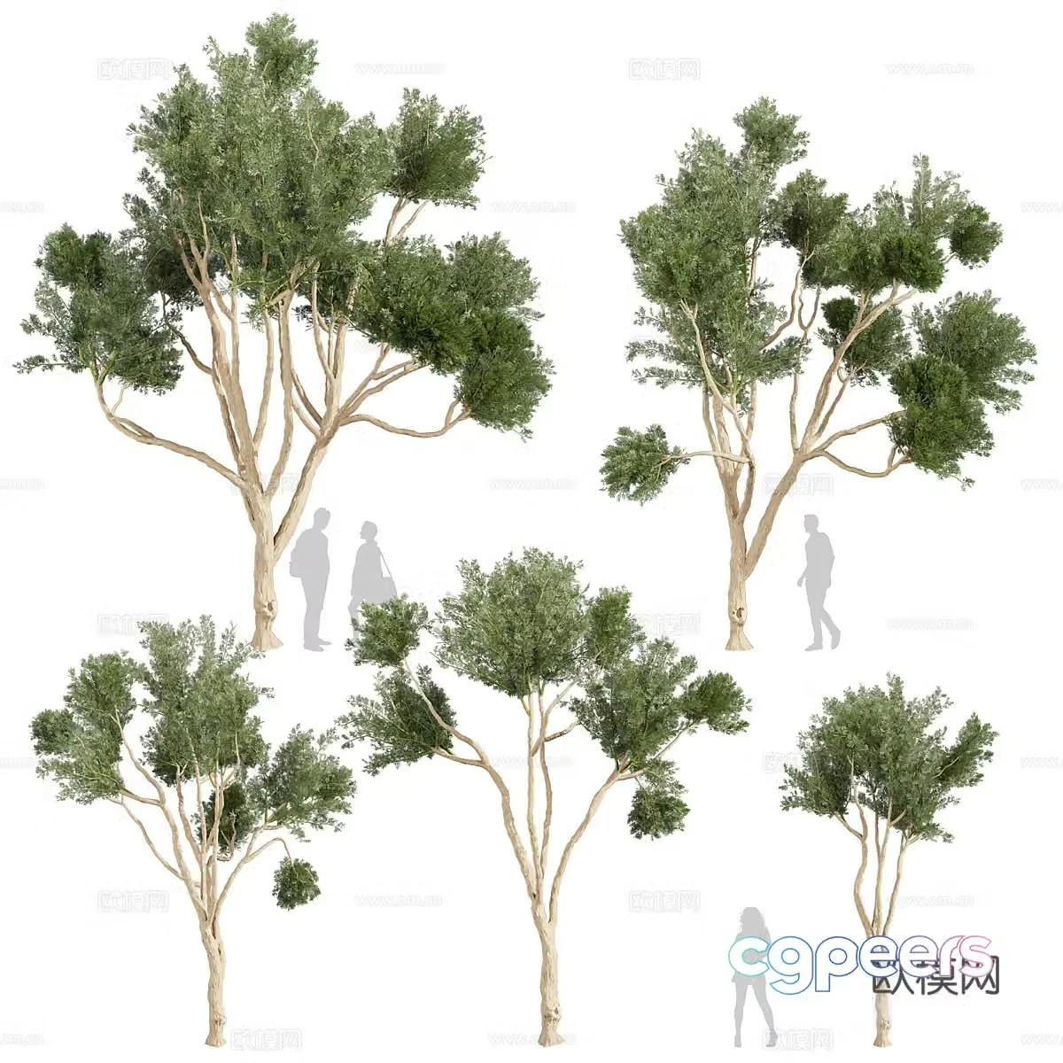Big tree landscape tree 3d model