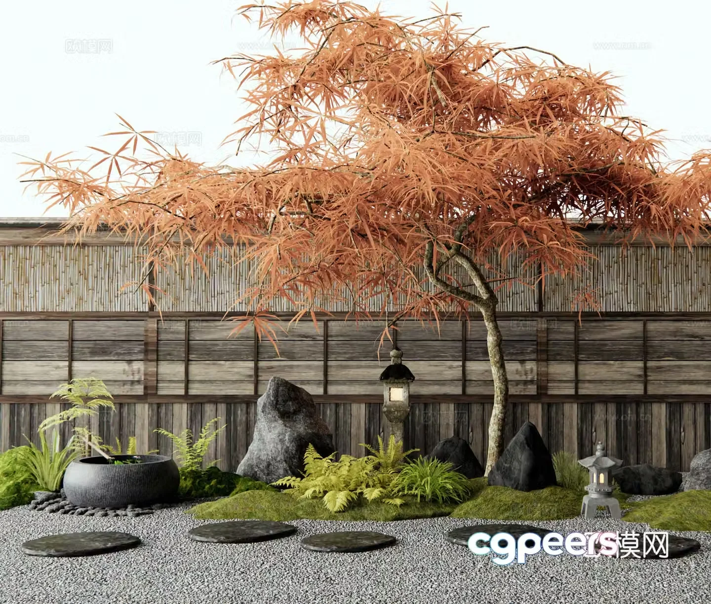 Japanese feather maple red maple tree landscape tree garden landscape sketch water bowl 3d model
