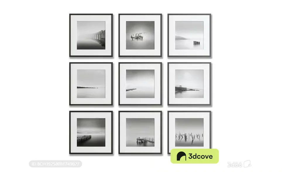 Black And White Framed Photographs