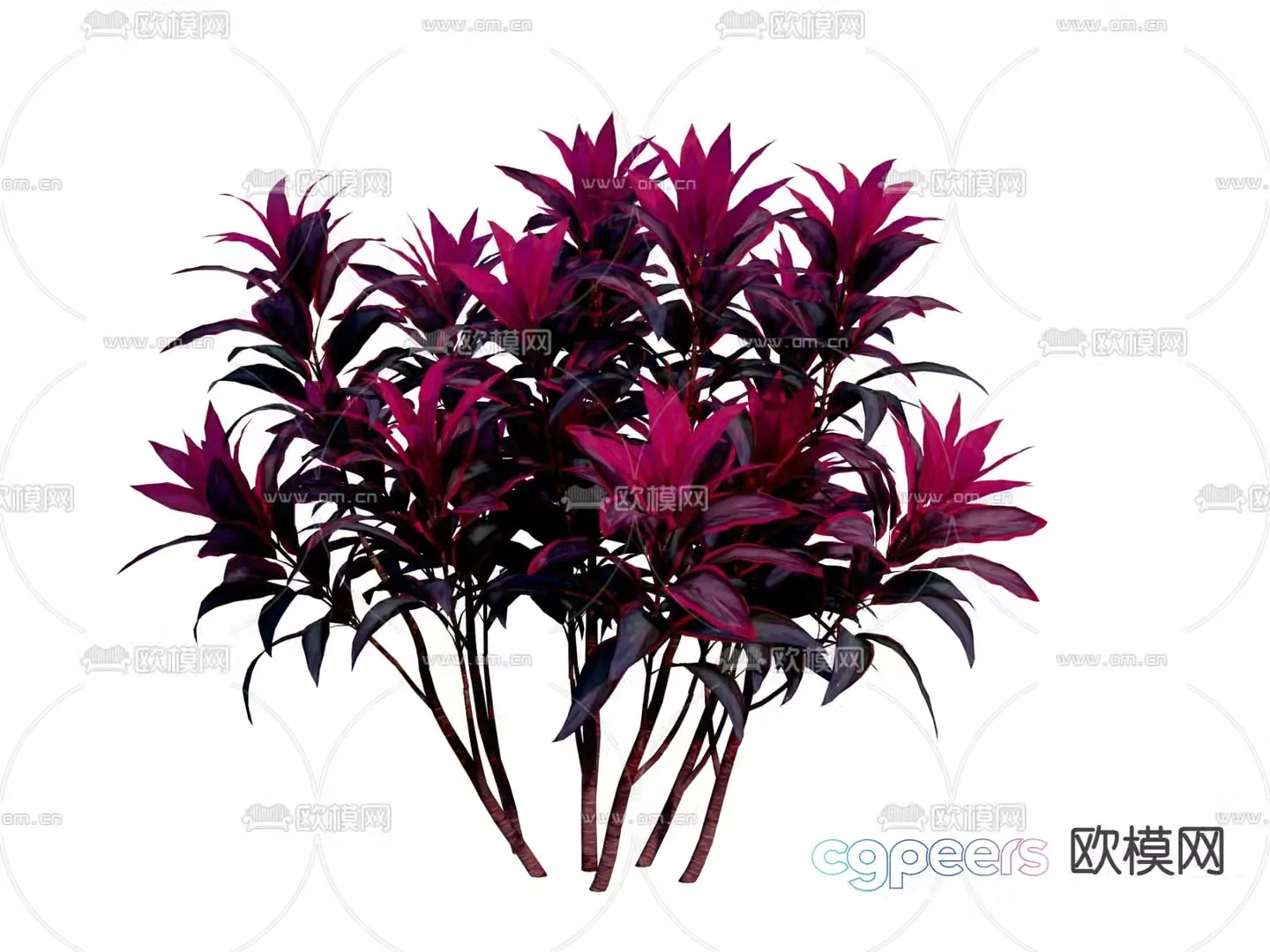 banana flowers garden plants flowers and plants 3d model