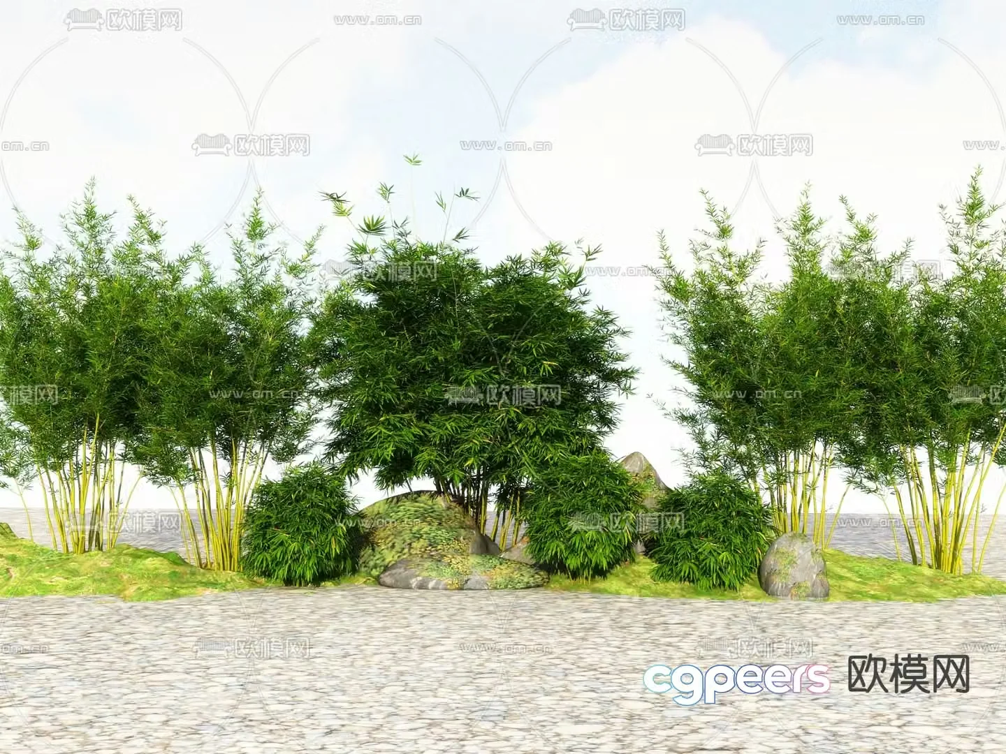 Bamboo Green Bamboo Rich Bamboo 3D Model