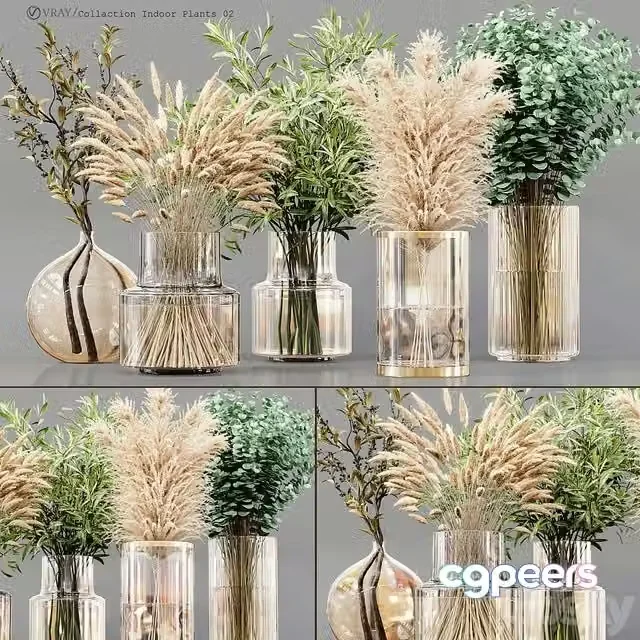 3ds Max Free – Collaction Indoor Plants 02