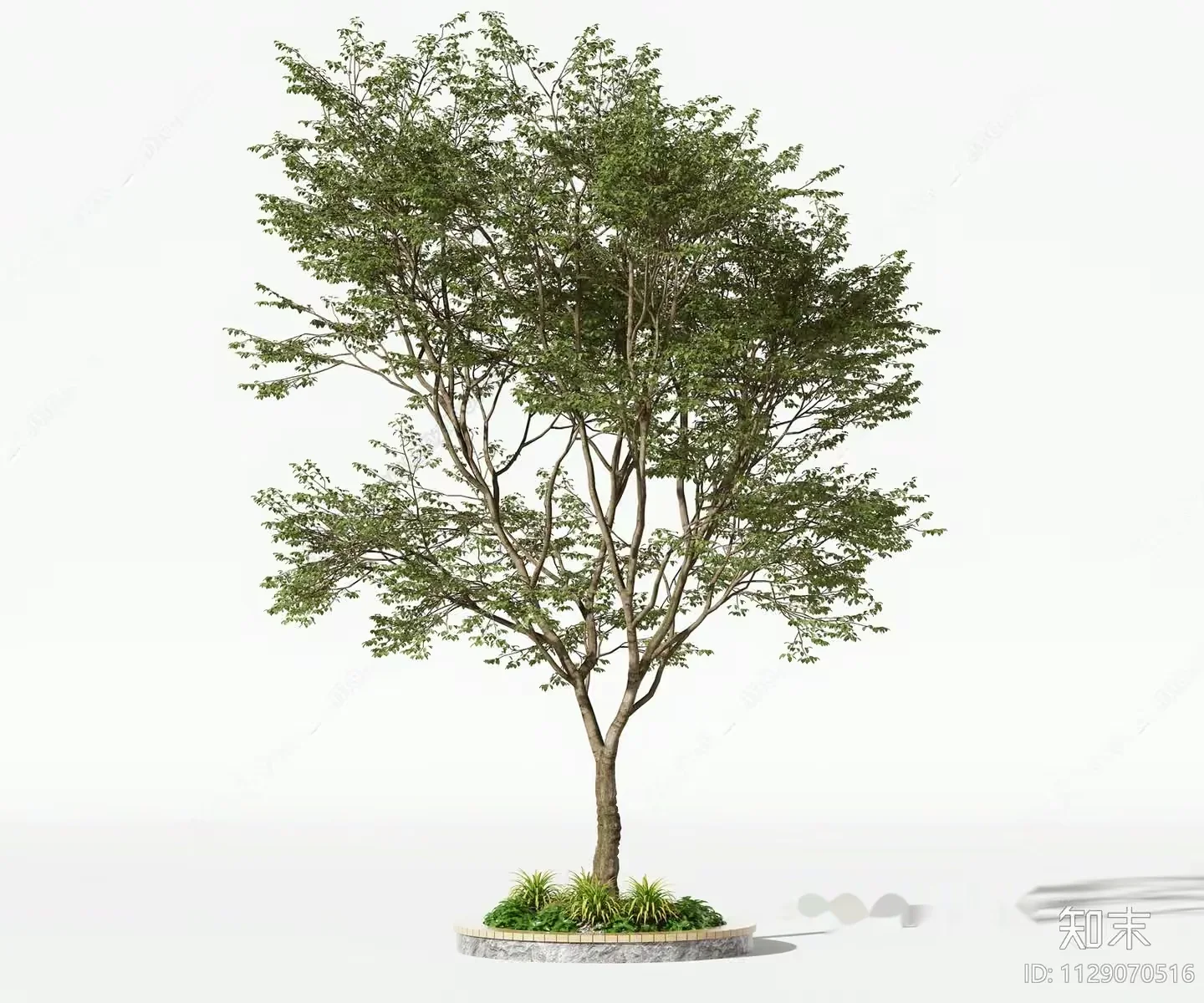A Tree With Green Leaves 3D Model – 11513 – VRAY Render