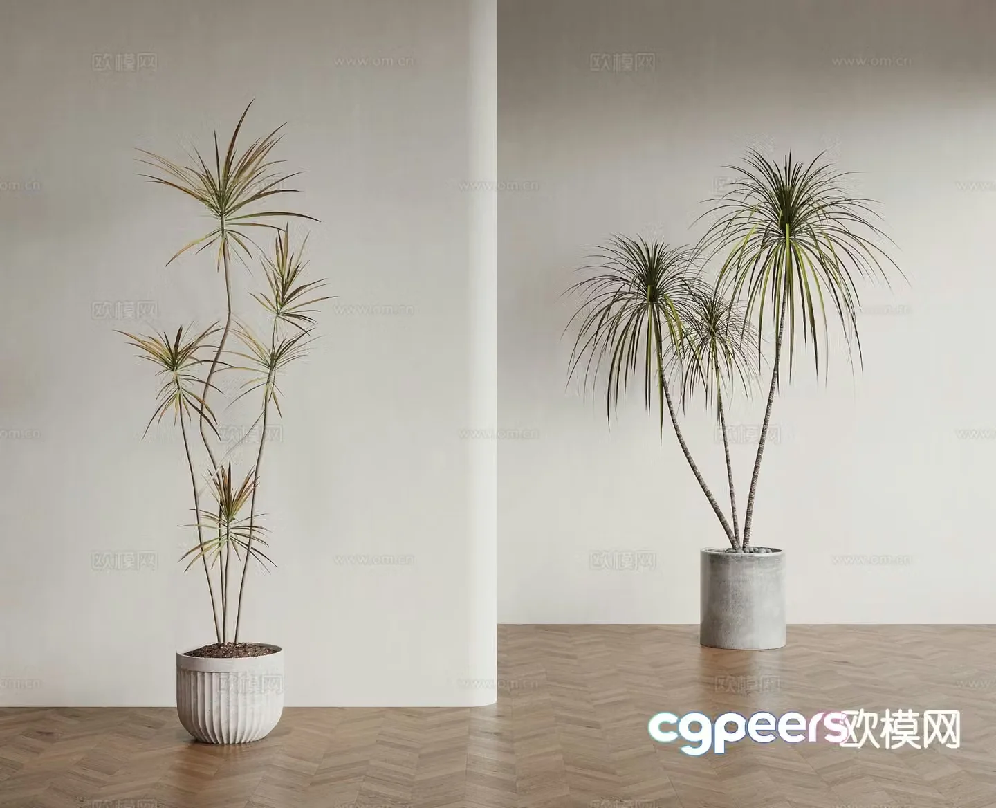 Modern floor-standing potted plant bonsai 3d model