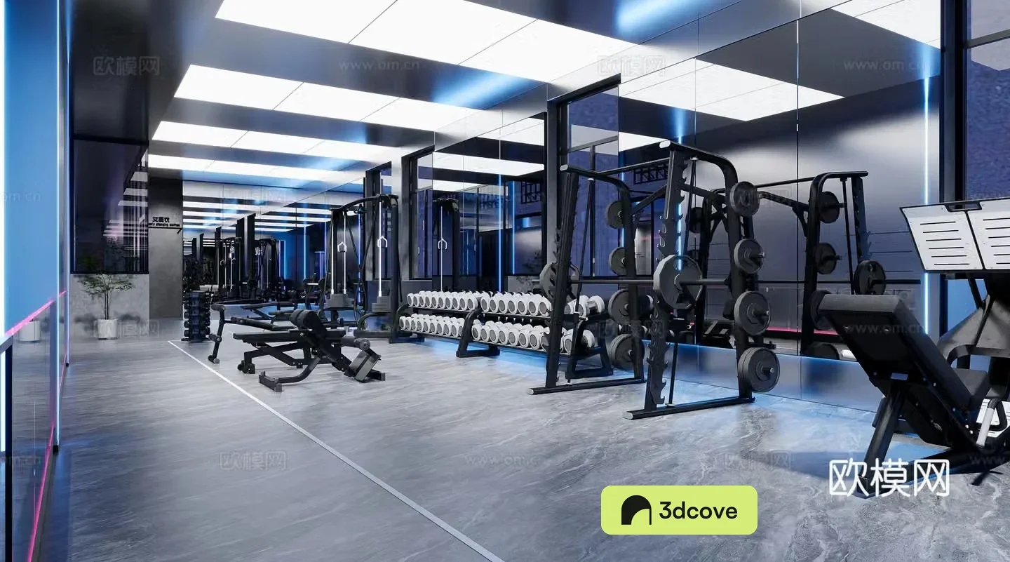 Modern gym