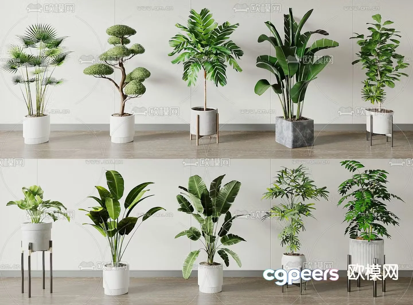 Potted plants Bonsai Green plants 3D model
