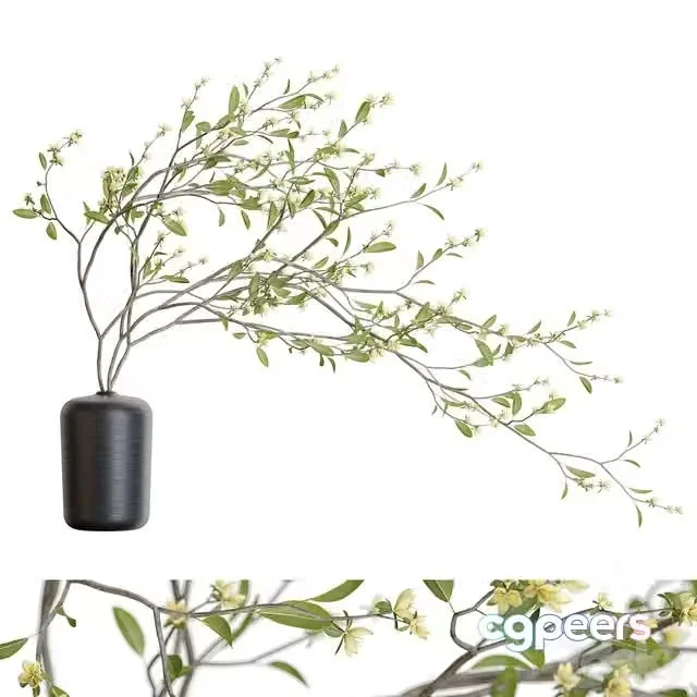 3ds Max Free – Bouquet 48