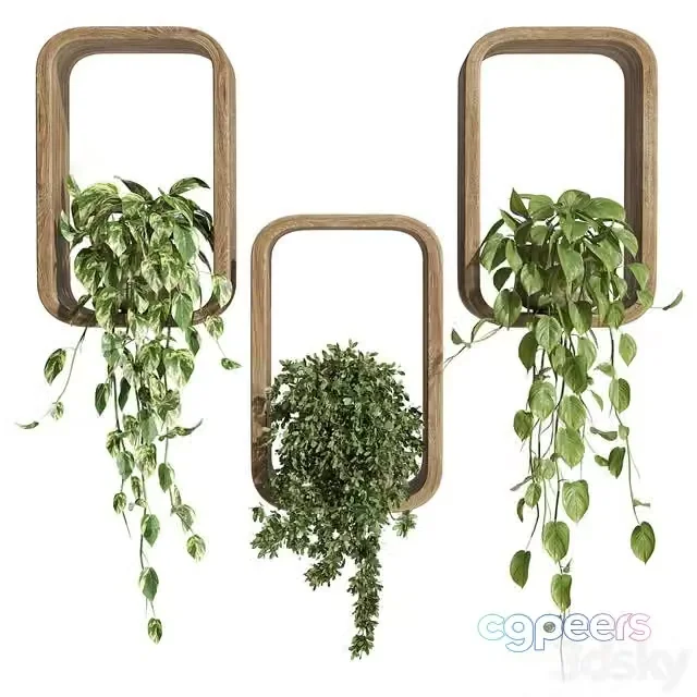 3ds Max Free – hanging plants on a box