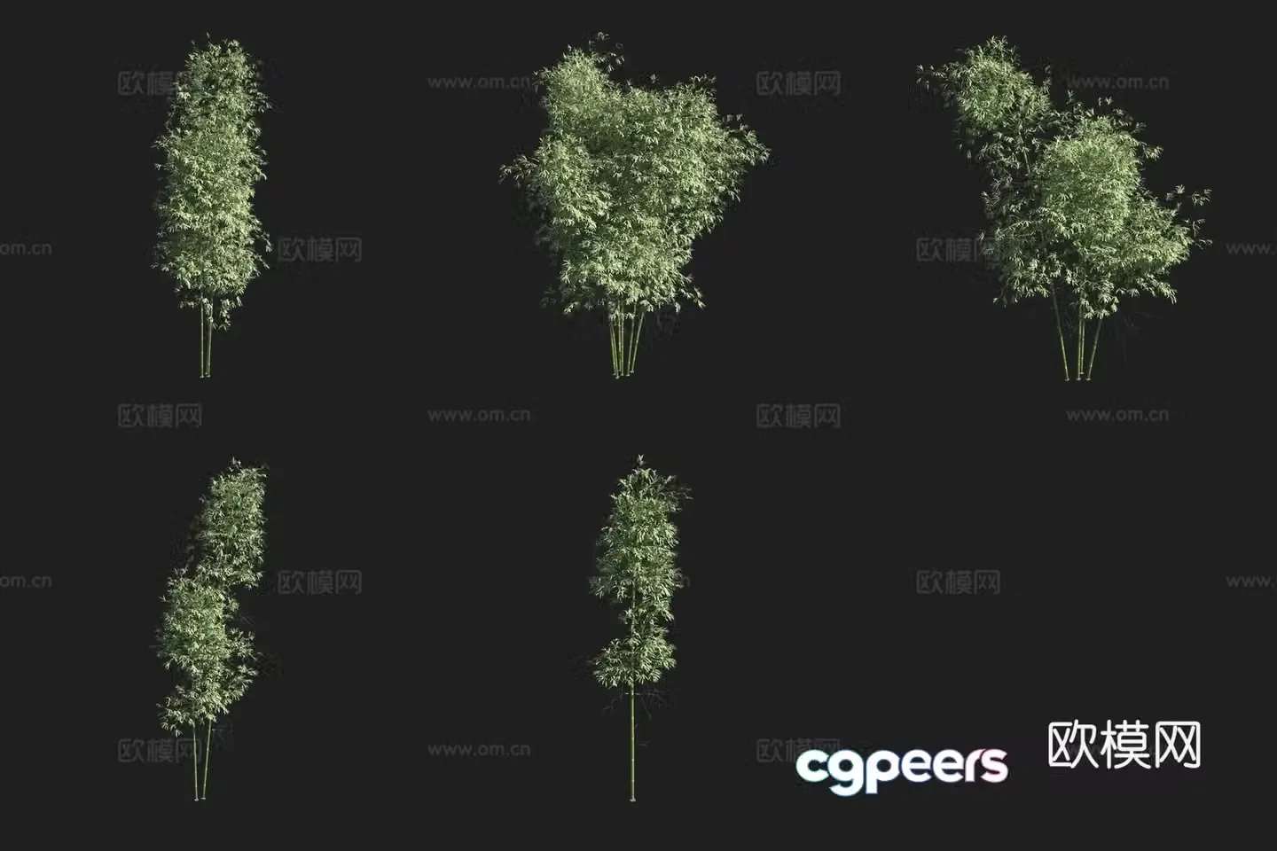 Green pink bamboo bamboo forest 3d model