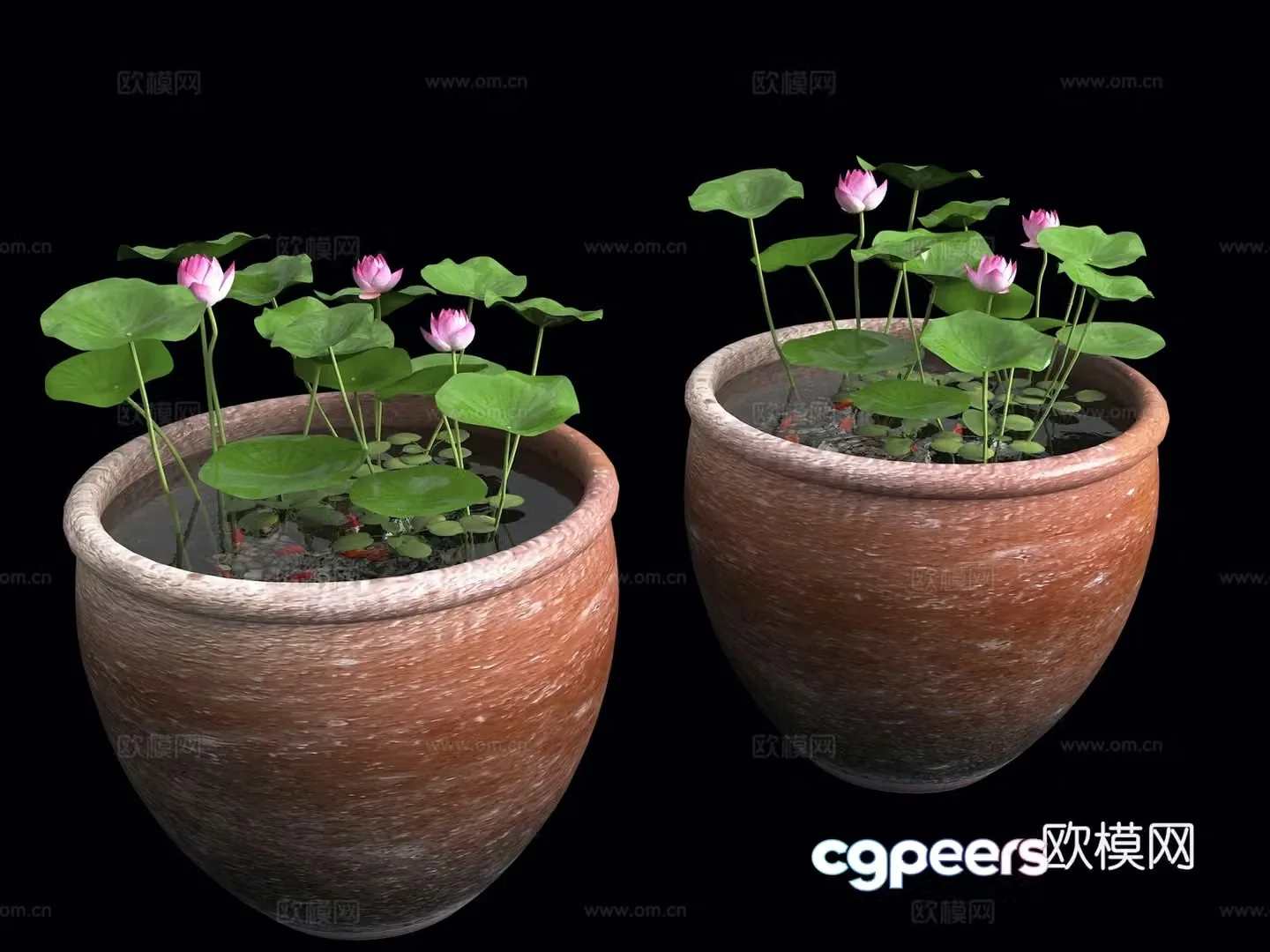 Water tank lotus pond Fish pond Water tank lotus pond Indoor landscape water tank Chinese landscape sketch Water 3D model