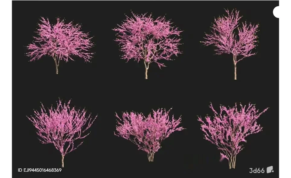 A Collection Of Pink Trees 3D Model – 16172 – VRAY Render