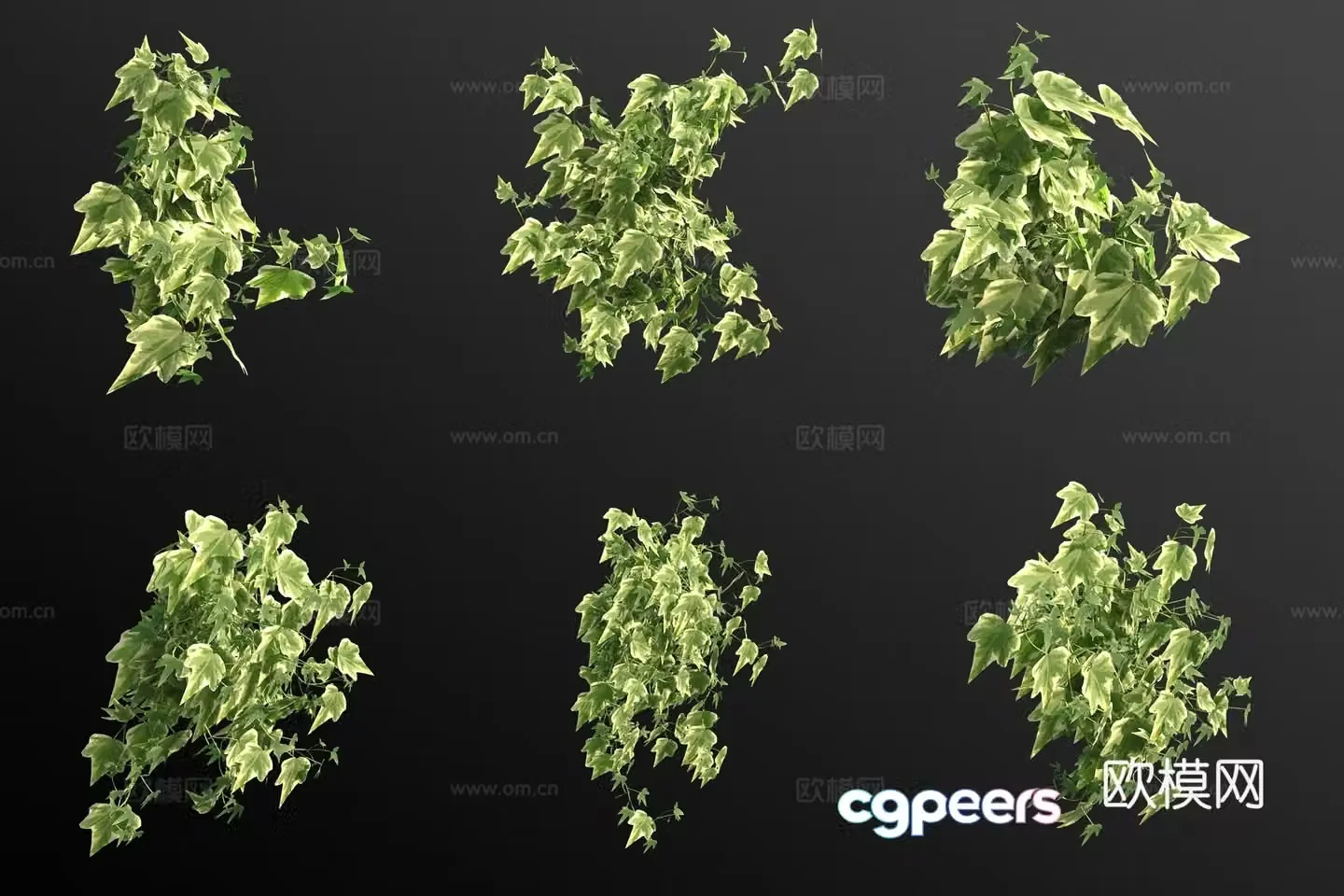Phnom Penh ivy 3d model