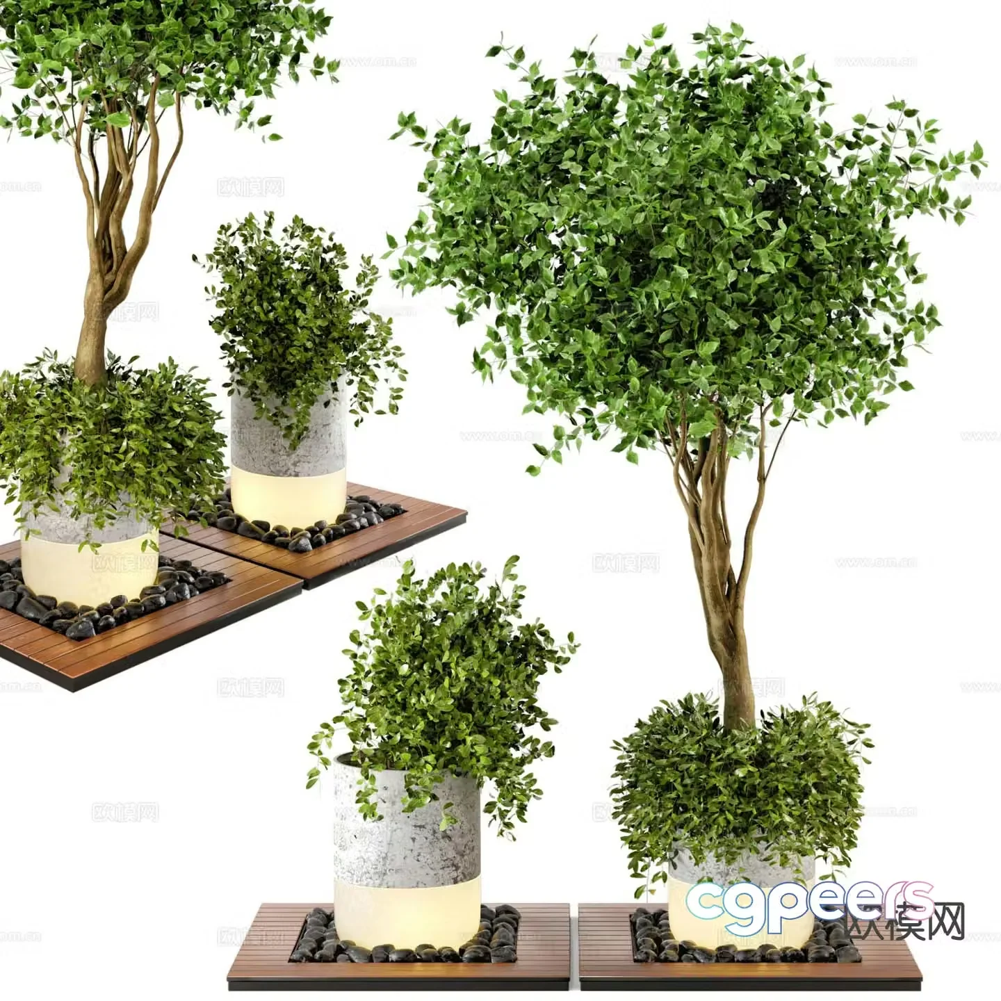 Outdoor potted green plant potted 3D model