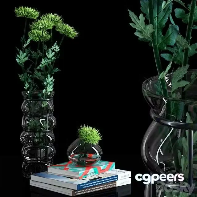 3ds Max Free – Green Spider Mom Asters Set