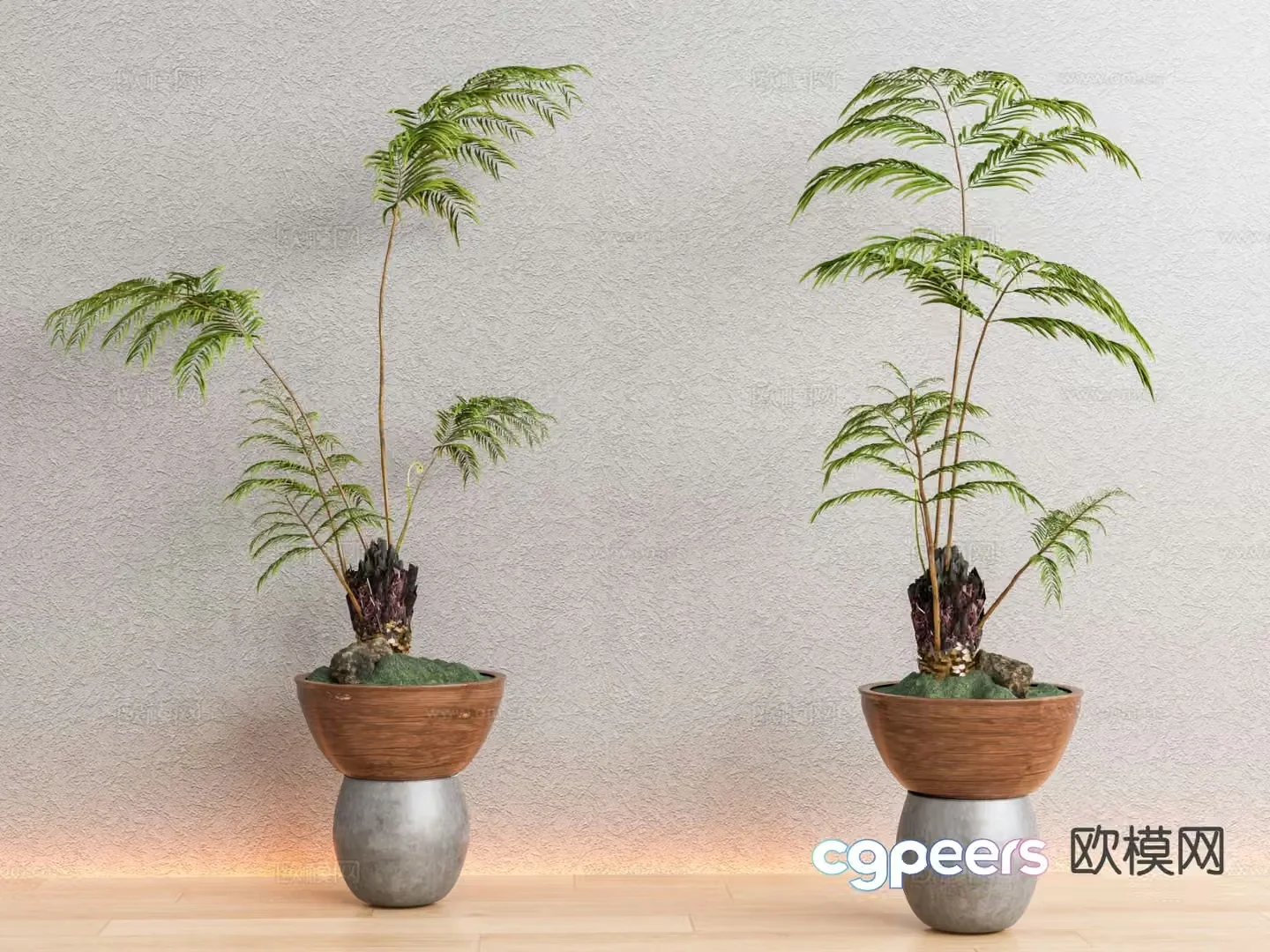 Potted Green Plants Potted Plants Zen Green Plants 3D Model
