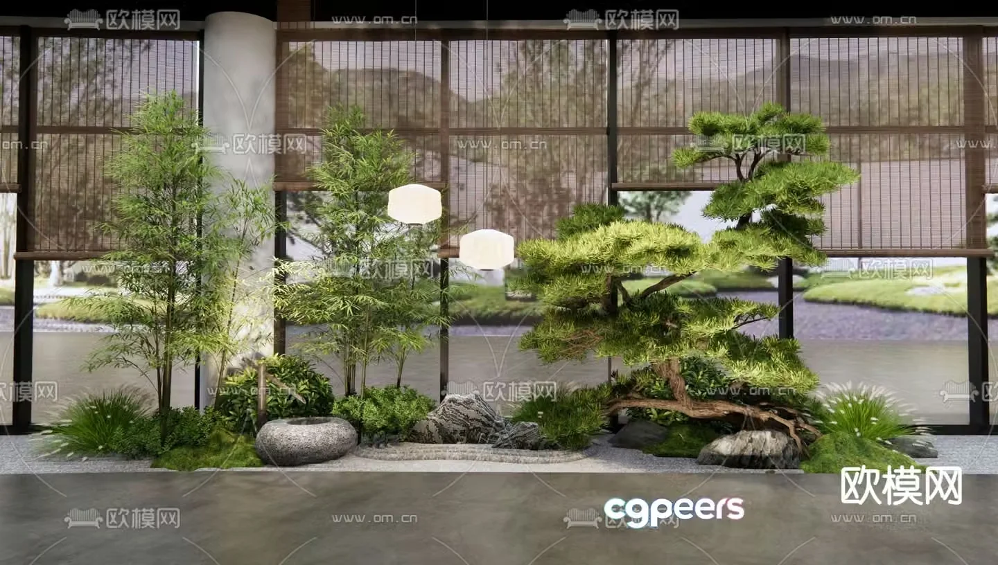 Indoor landscape plant landscaping Podocarpus 3D model