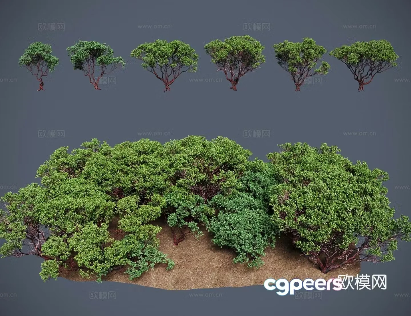 Modern Landscape Tree Mansa Tree 3D Model