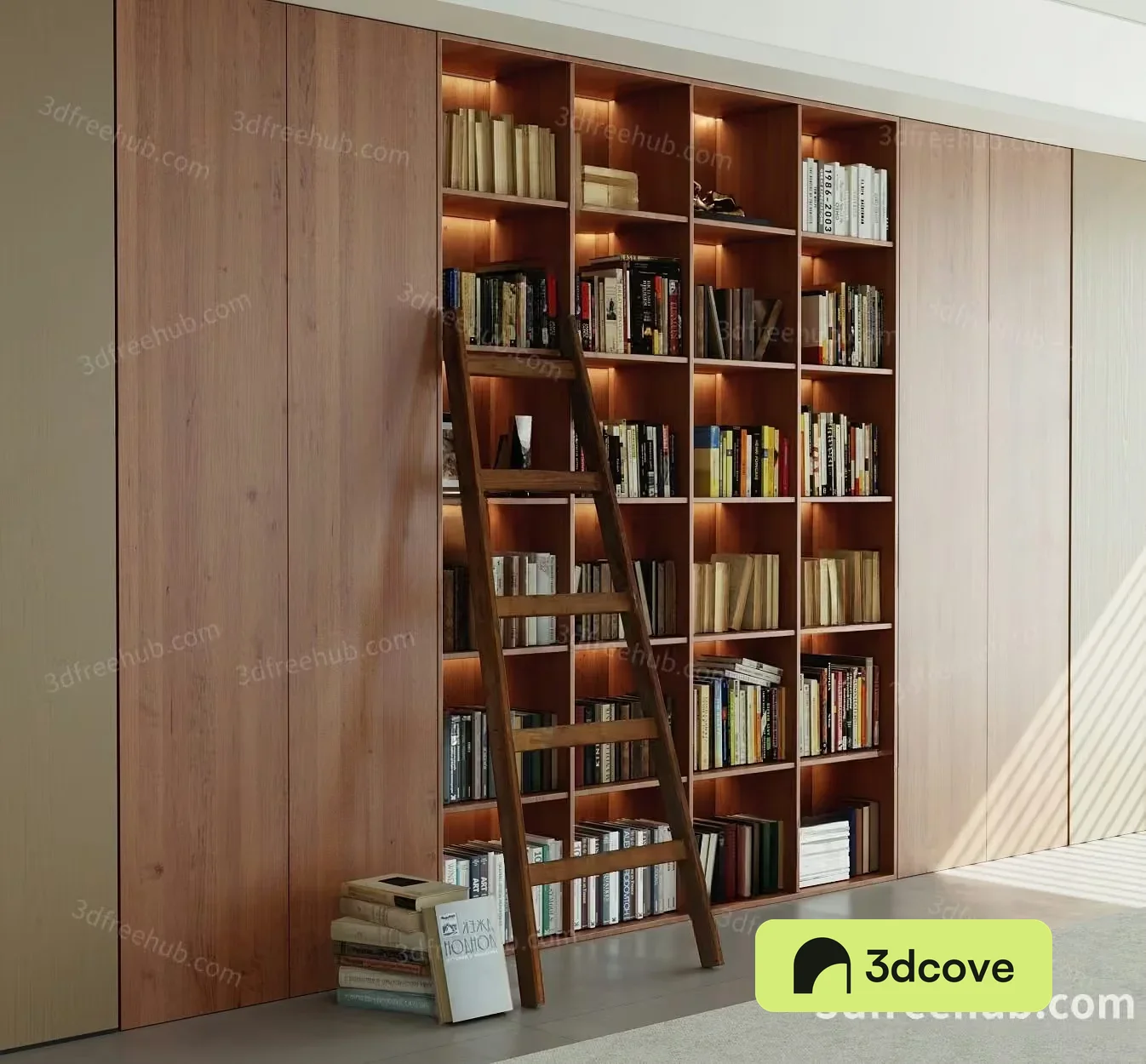 Wooden Bookshelf With Ladder