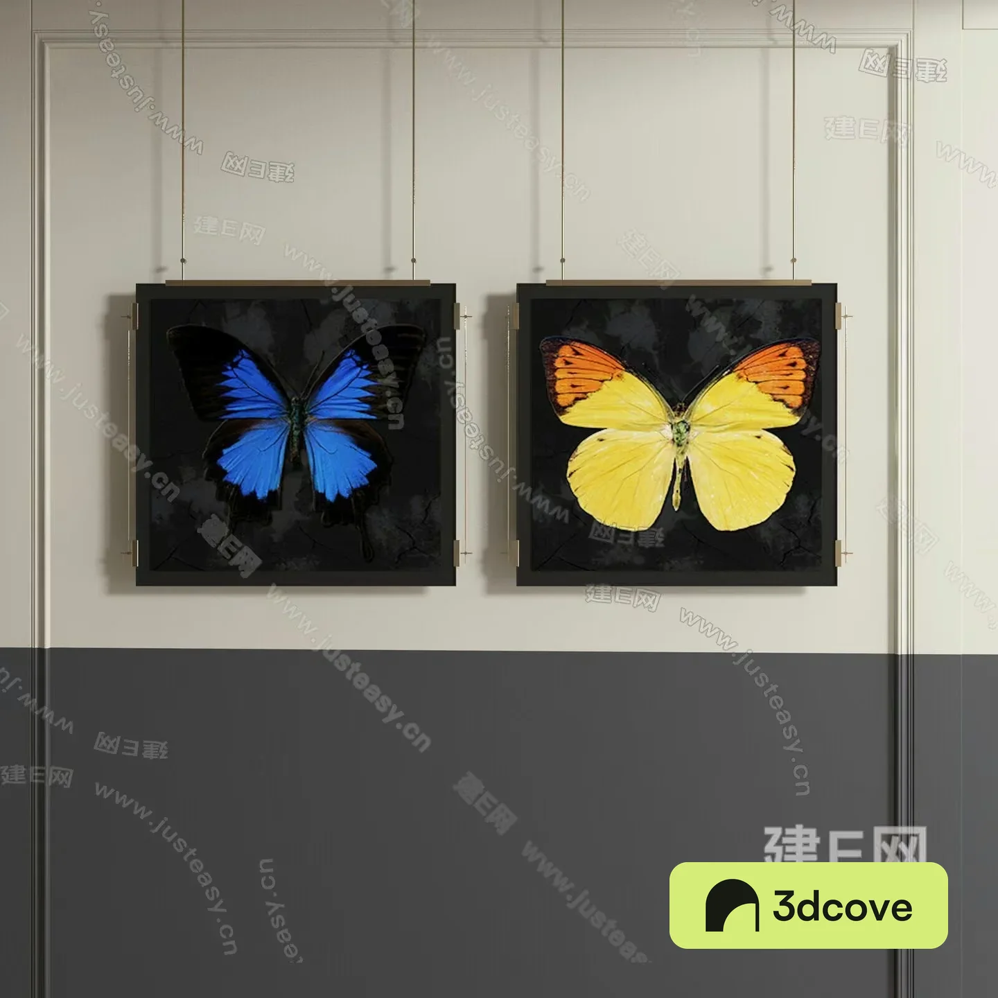 Two Butterfly Prints
