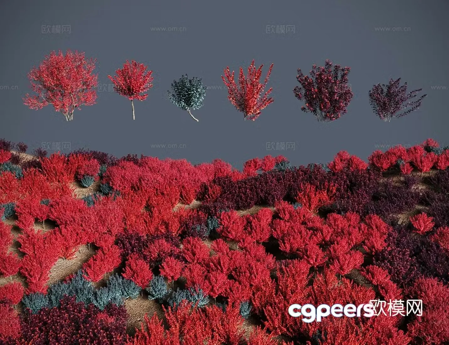 Modern landscape tree shrub Blood-skinned maple tree Maliguang Shaanxi maple bald maple 3D model