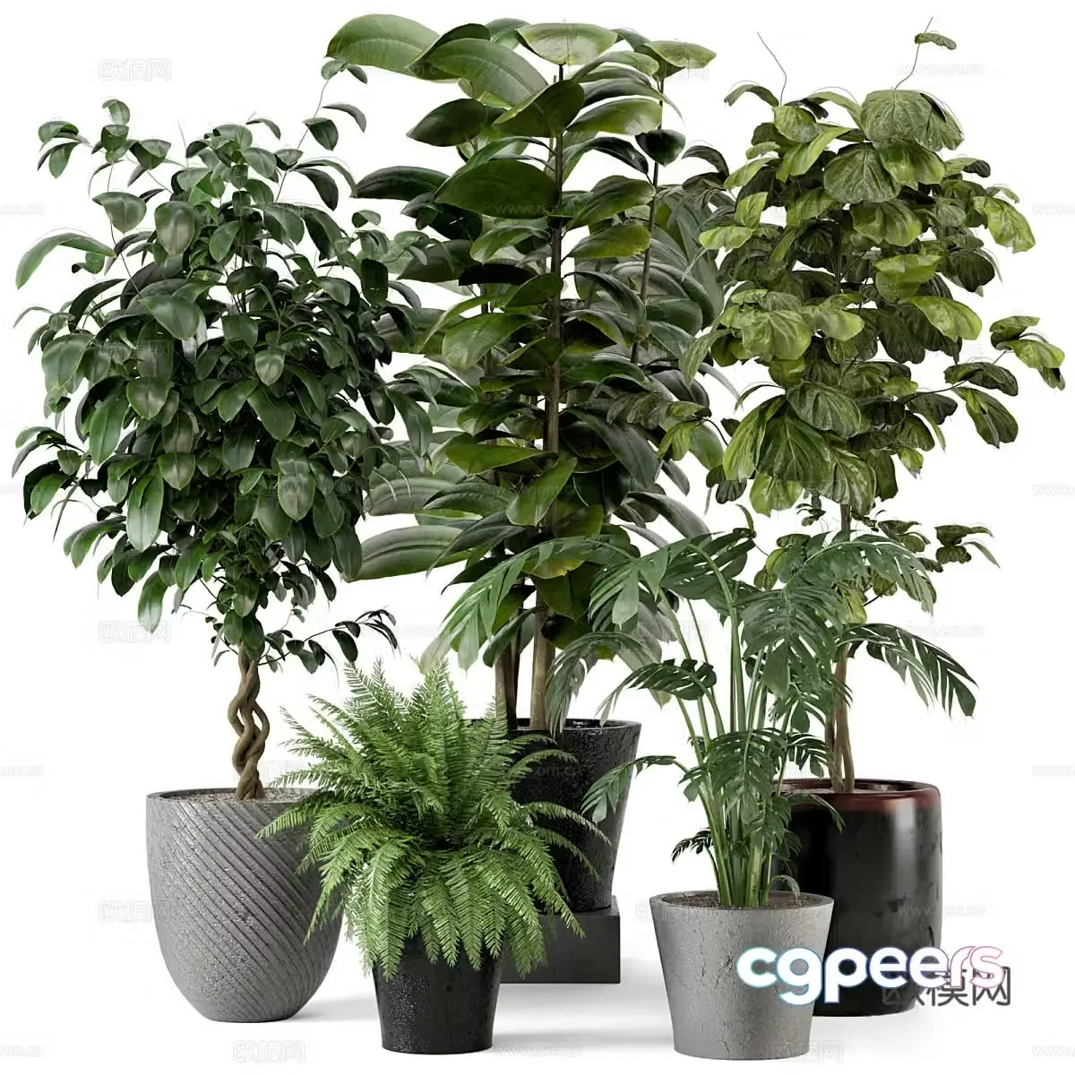 Green plant potted 3D model