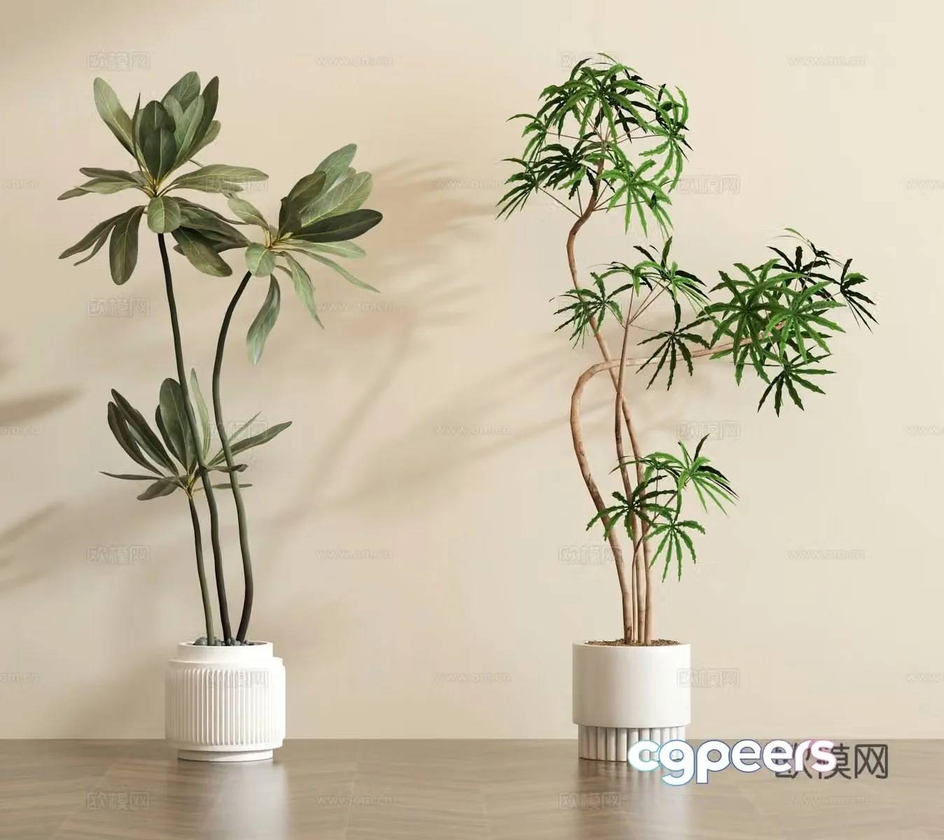 Green plant potted bonsai 3D model