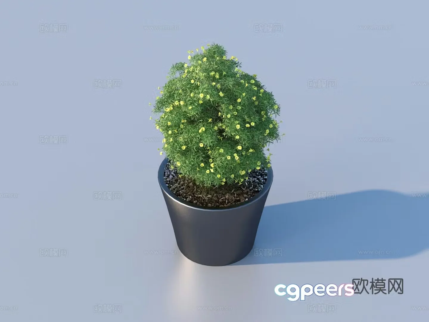 flowerpot potted plant green plant plant 3d model