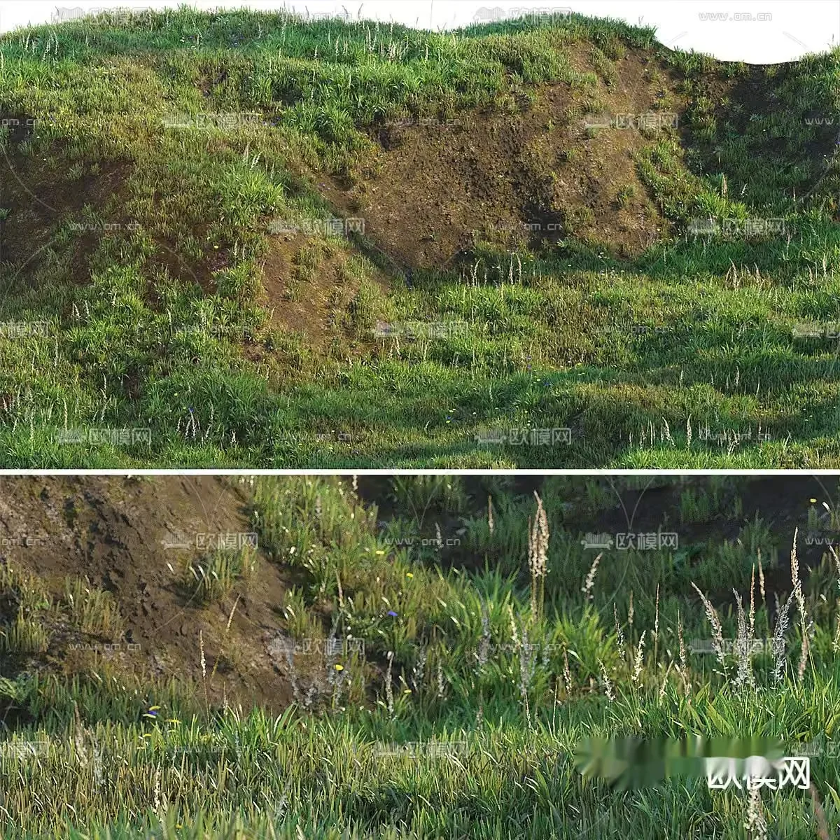 A Grassy Hillside 3D Model – 17107 – VRAY Render