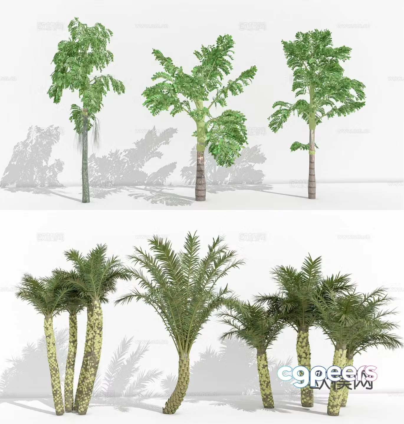 landscape tree palm tree coconut tree palm tree 3d model