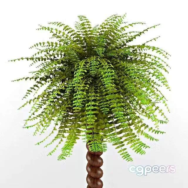 3ds Max Free – Natural plant