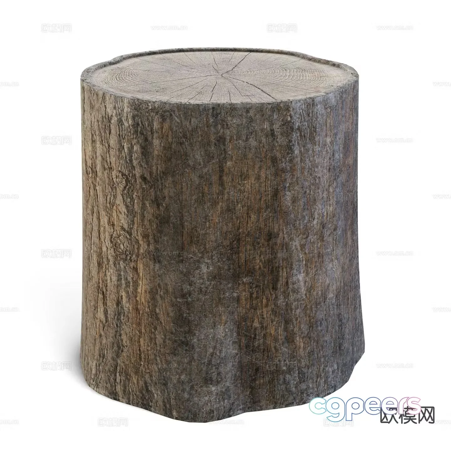 tree stump tree trunk wooden stump stool 3d model