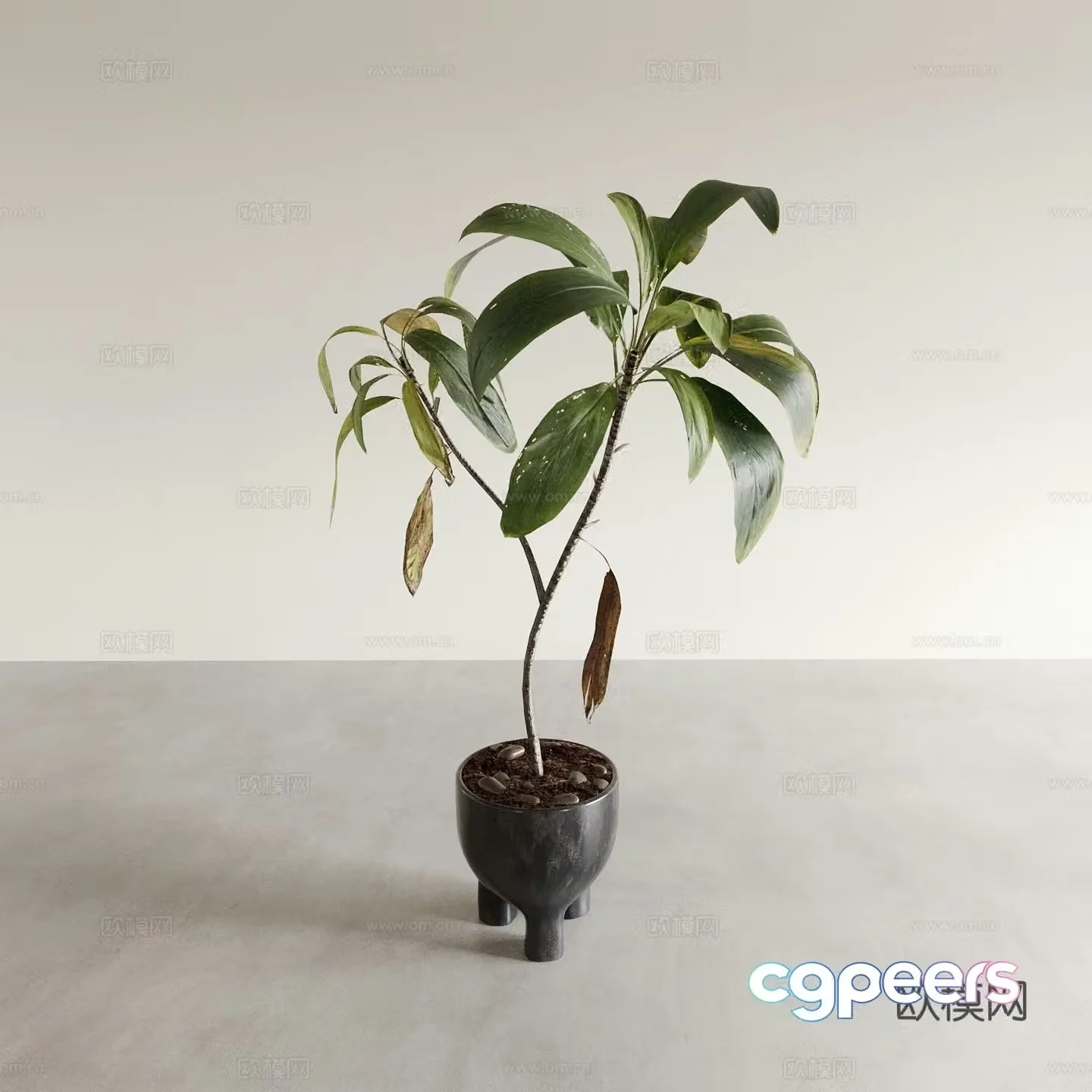 Bonsai potted plants indoor green plants plant ornaments 3D model