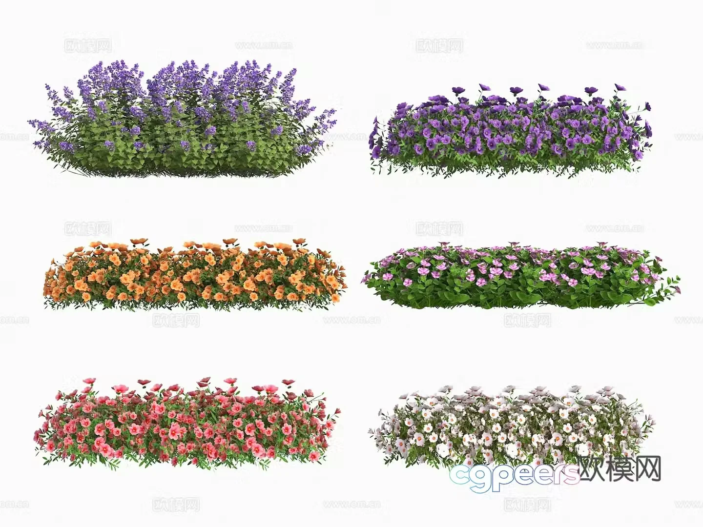 Flowers flowers plants outdoor plants landscape flowers lavender shrubs hedges plants green landscape 3d model