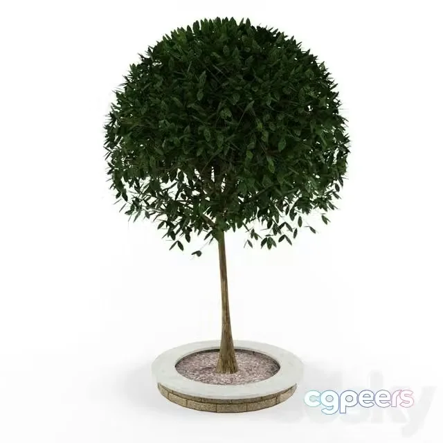 3ds Max Free – Decorative wood with tree for exterior decoration
