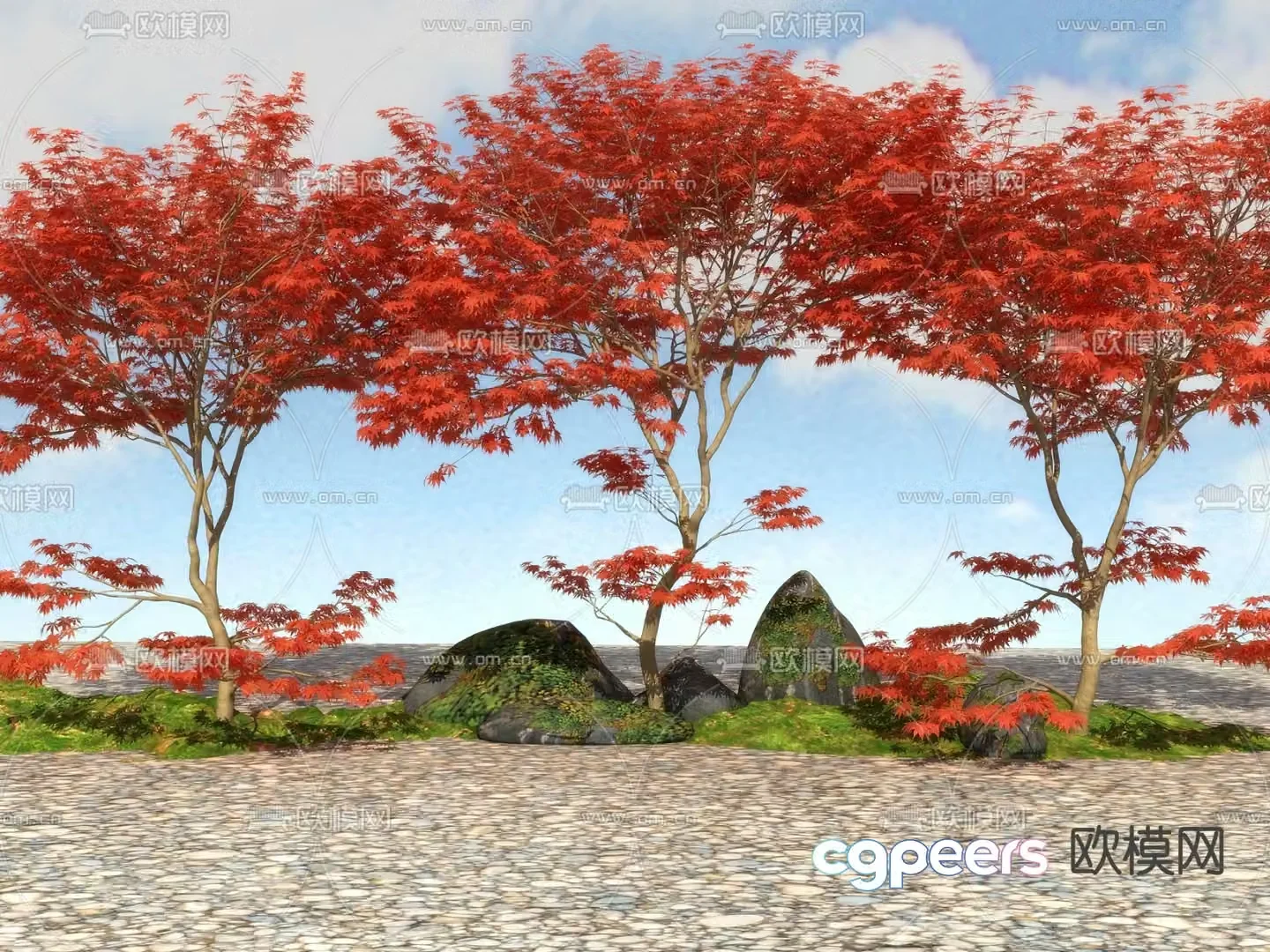 Landscape tree Big tree Red maple 3d model