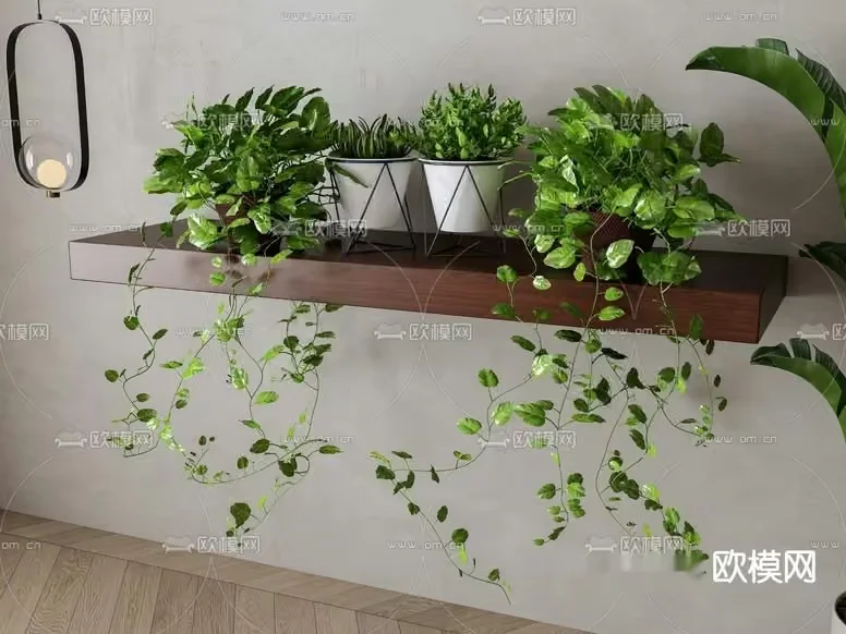 A Shelf With Plants 3D Model – 11142 – VRAY Render