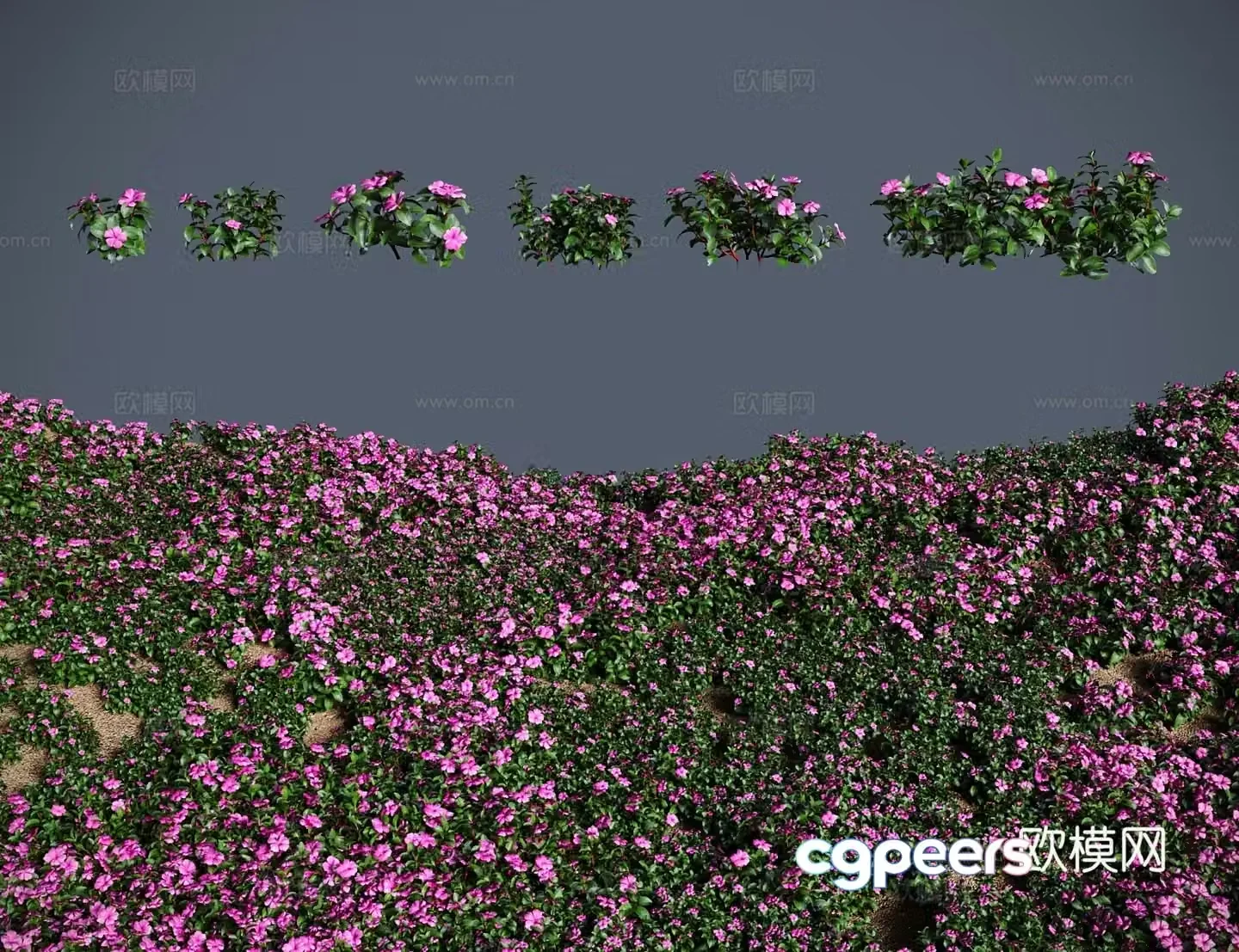Modern shrubs 3d model of verdant flowers