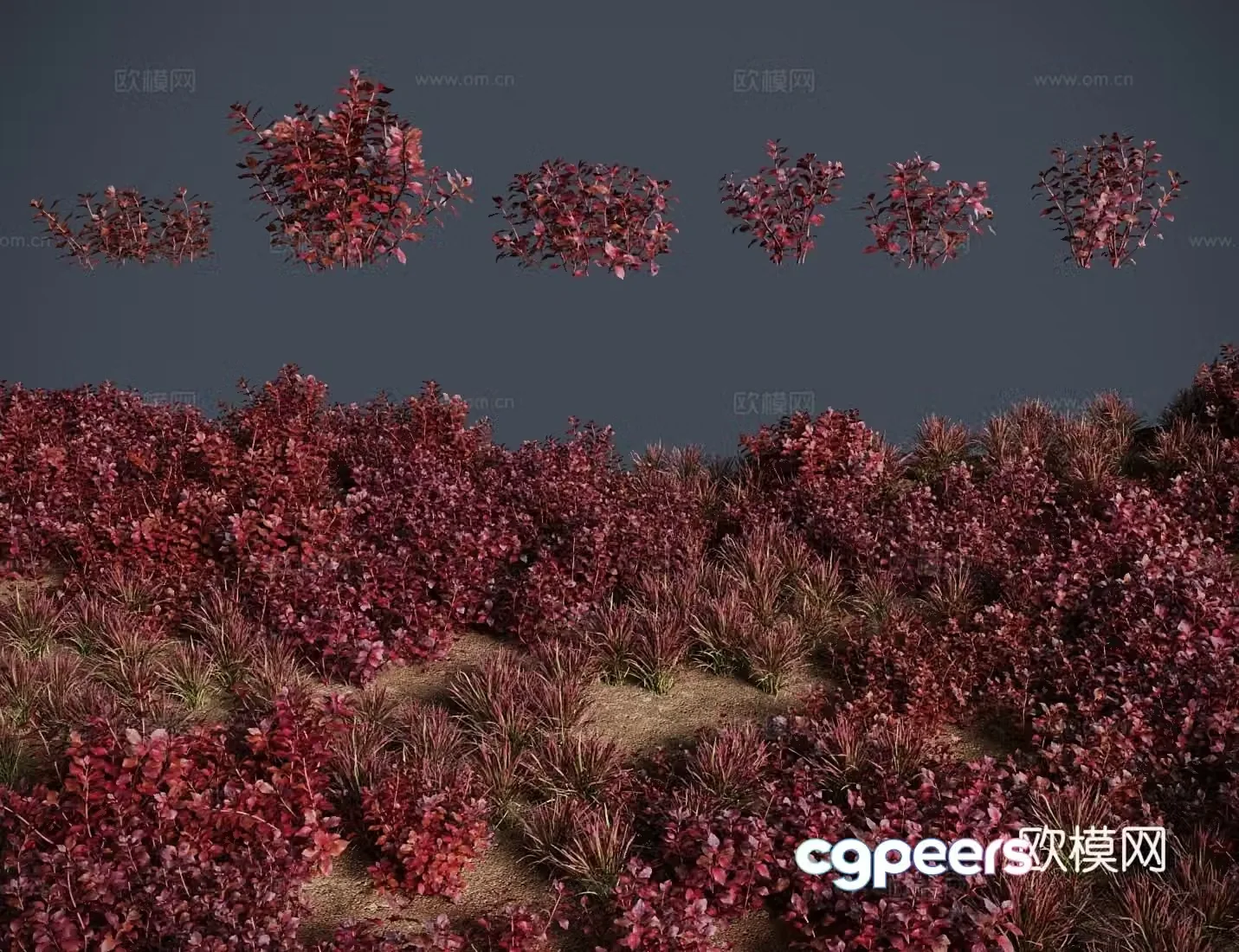 3d model of red grass shrub with leaf bottom