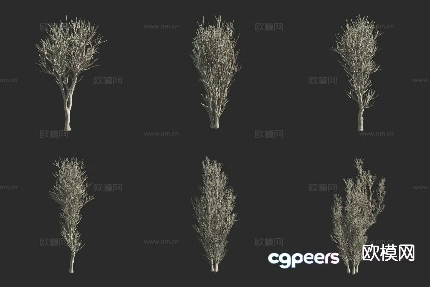 3D model of clustered sub-dragon tree