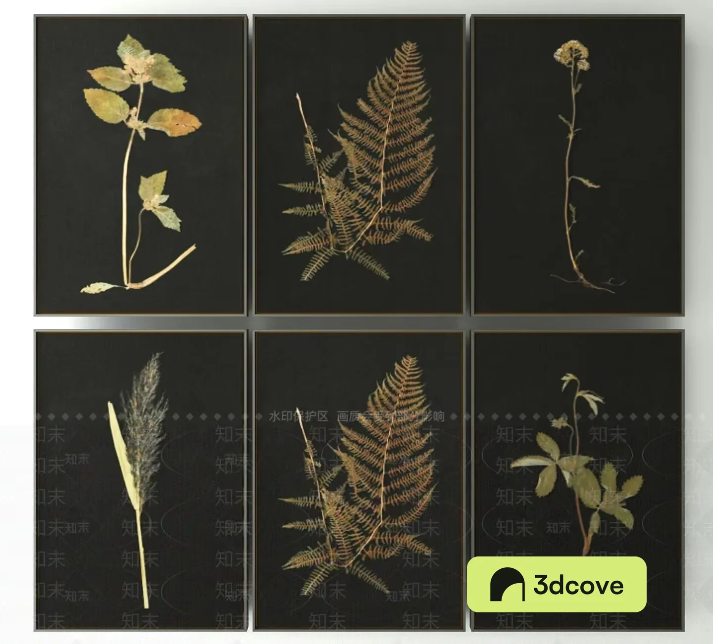 A Collection Of Six Nature-Themed Prints