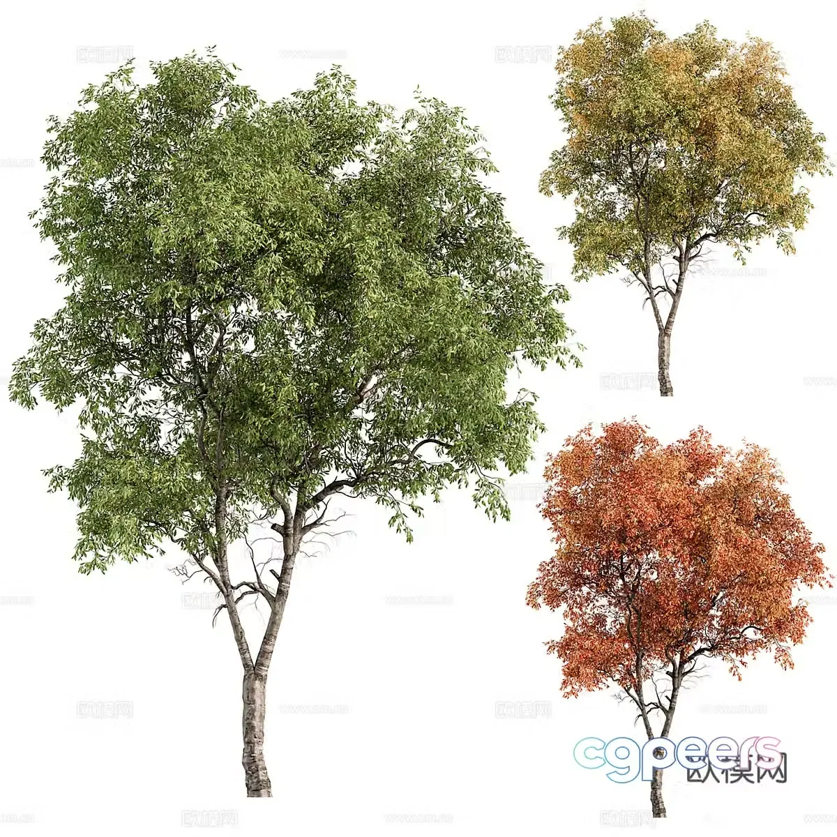 Tree 3d model