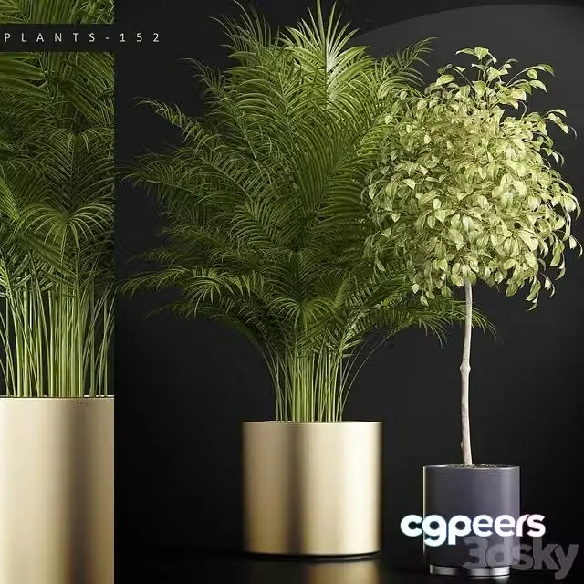 3ds Max Free – PLANTS 152