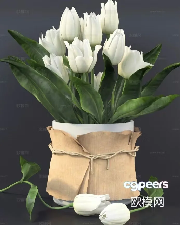 display flowers floral 3d model